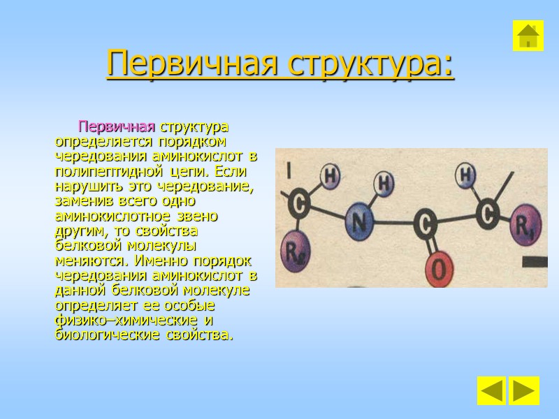 Первичная структура:          Первичная структура определяется